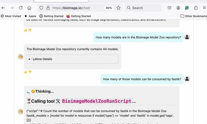 Artificial Intelligence-Based Chatbot Created for Bioimage Analysis