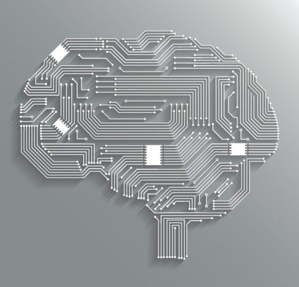 brain circuit