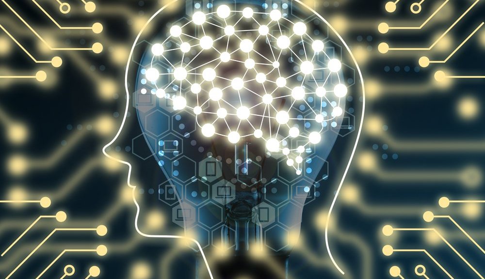 Digital Brain