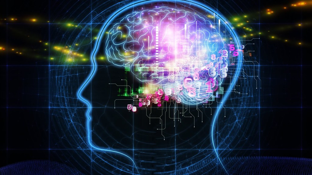 Brain