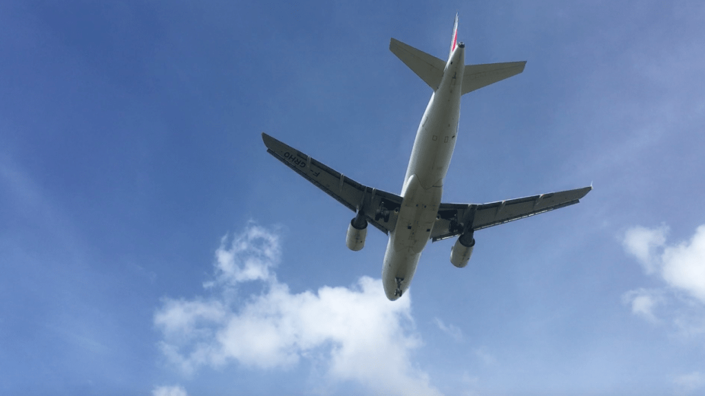 Airbus is looking towards a future of pilotless planes