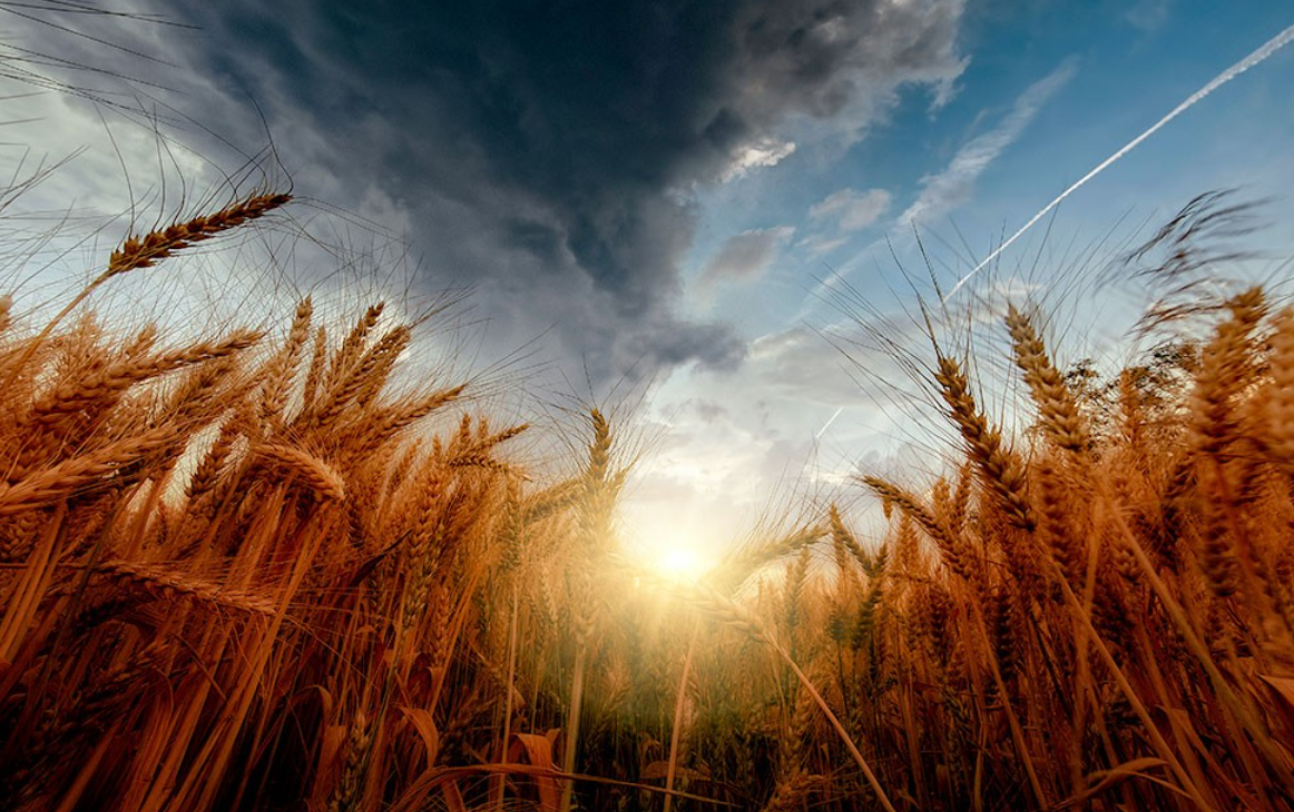 Artificial Intelligence (AI), A Game-Changer For Sustainable Development