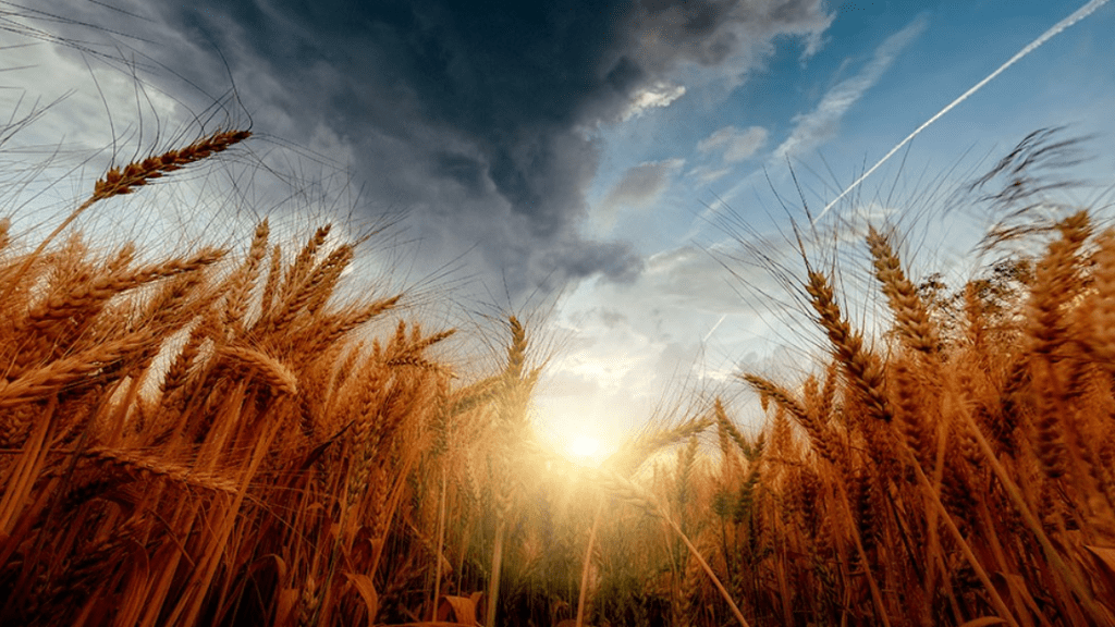 Artificial Intelligence (AI), A Game-Changer For Sustainable Development
