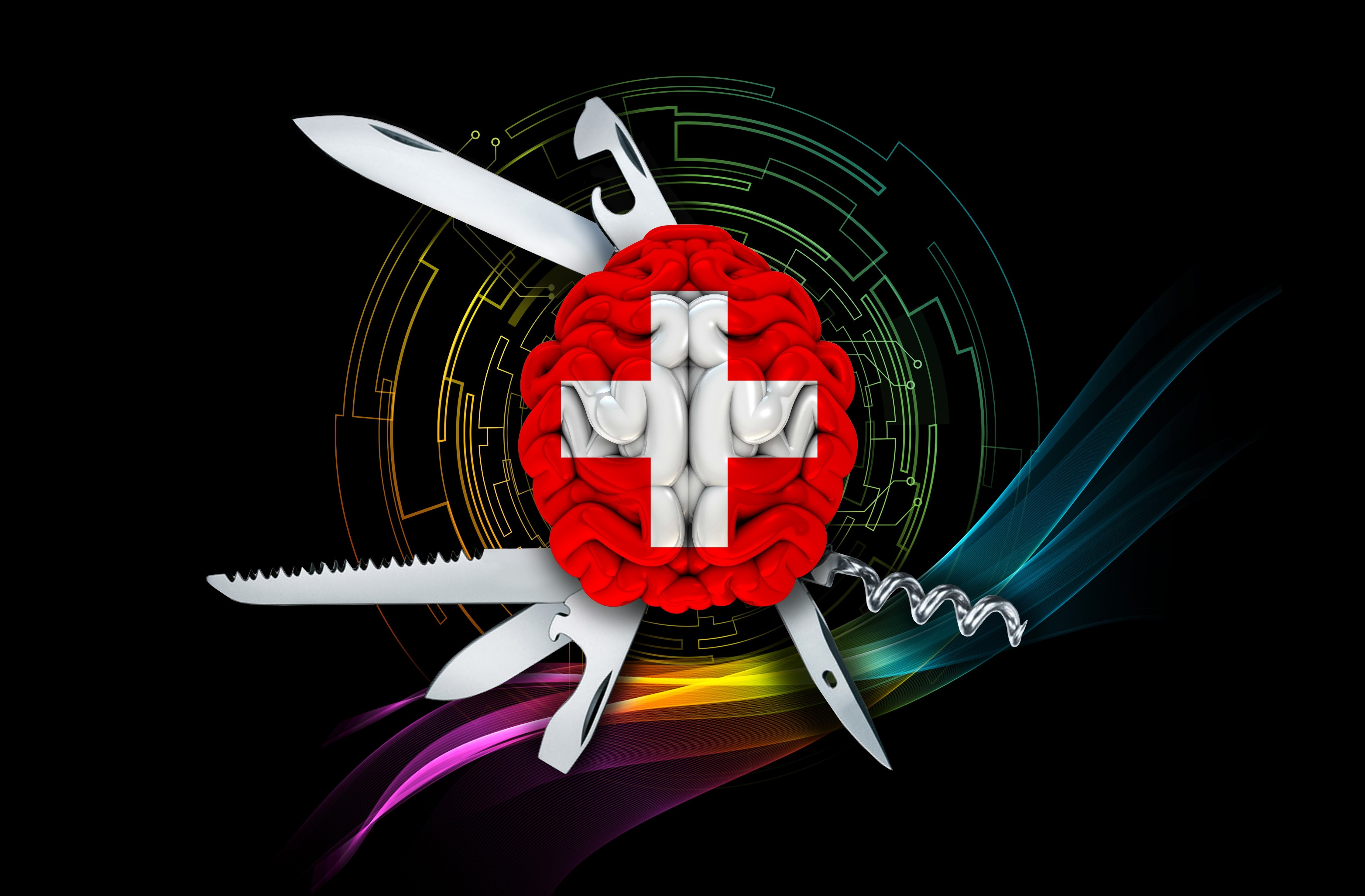 The Evolving Swiss AI Ecosystem